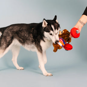 Petshop by Fringe Studio - Dog Toy Hustle for that Muscle