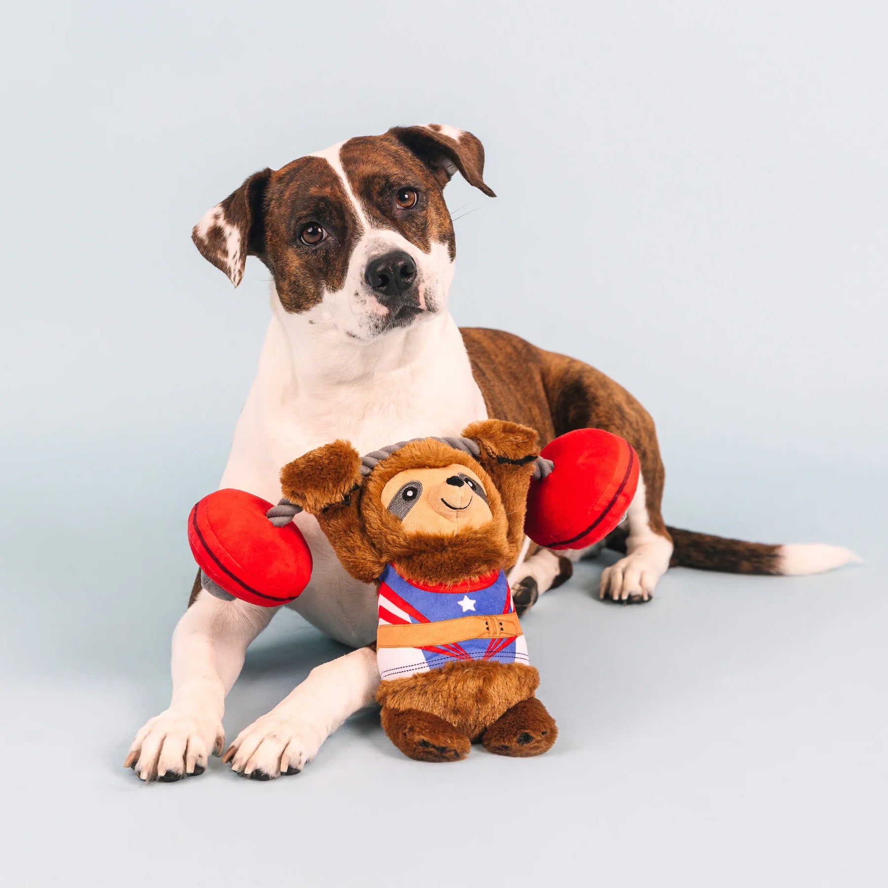 Petshop by Fringe Studio - Dog Toy Hustle for that Muscle