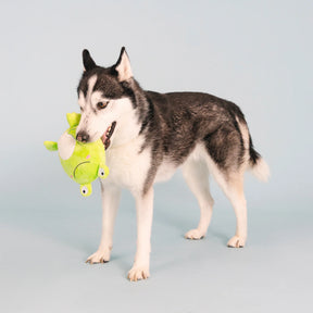 Petshop by Fringe Studio - Dog Toy Reach for the Flies