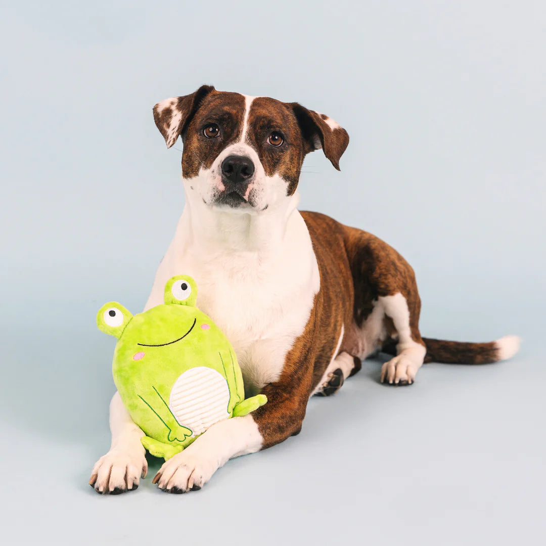 Petshop by Fringe Studio - Dog Toy Reach for the Flies