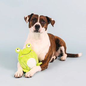 Petshop by Fringe Studio - Dog Toy Reach for the Flies
