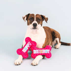 Petshop by Fringe Studio - Dog Toy It's My Birthday