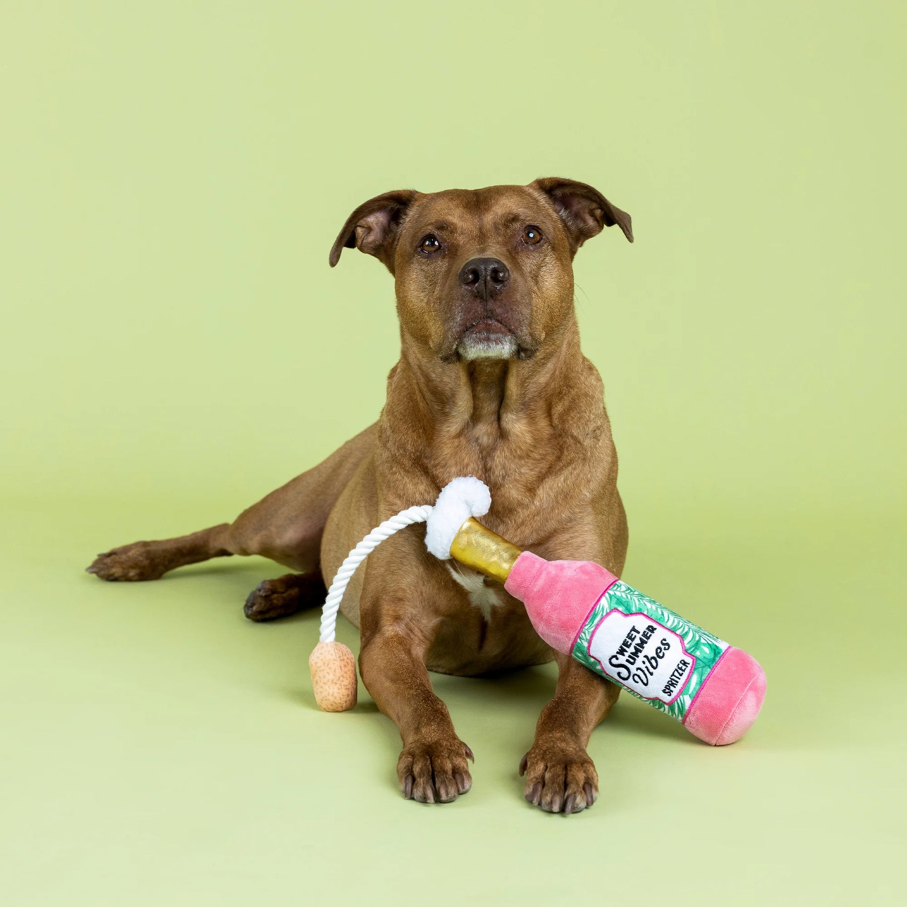 Petshop by Fringe Studio - Dog Toy Sweet Summer Vibes