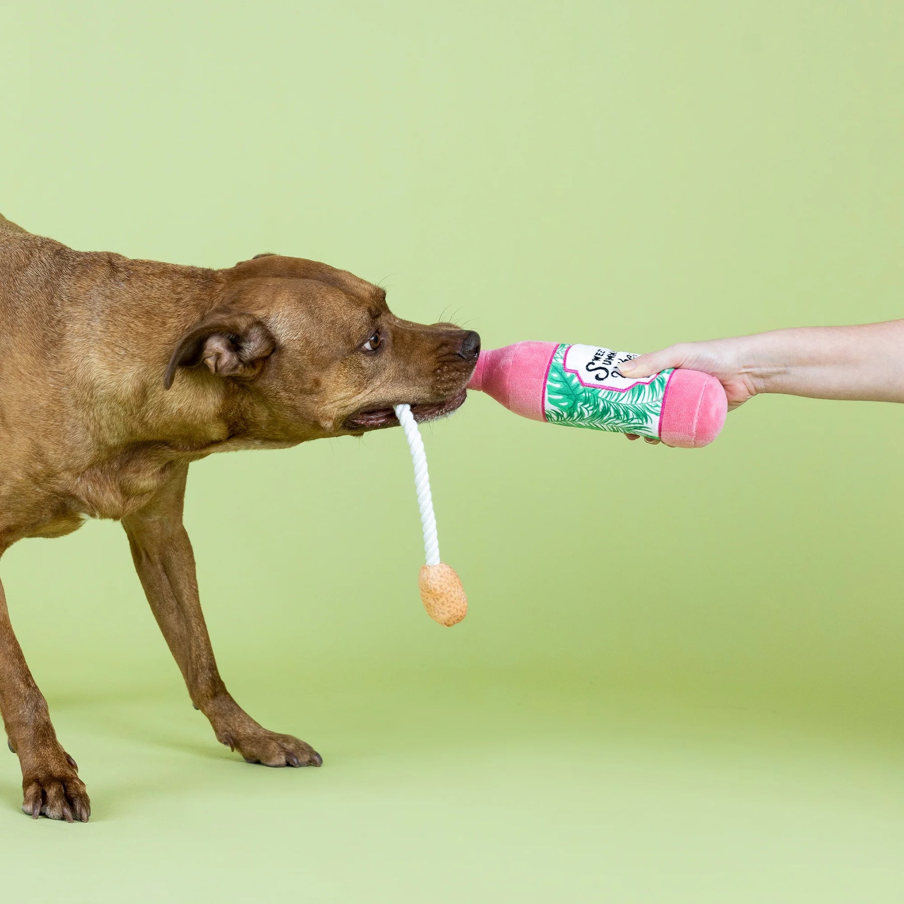 Petshop by Fringe Studio - Dog Toy Sweet Summer Vibes