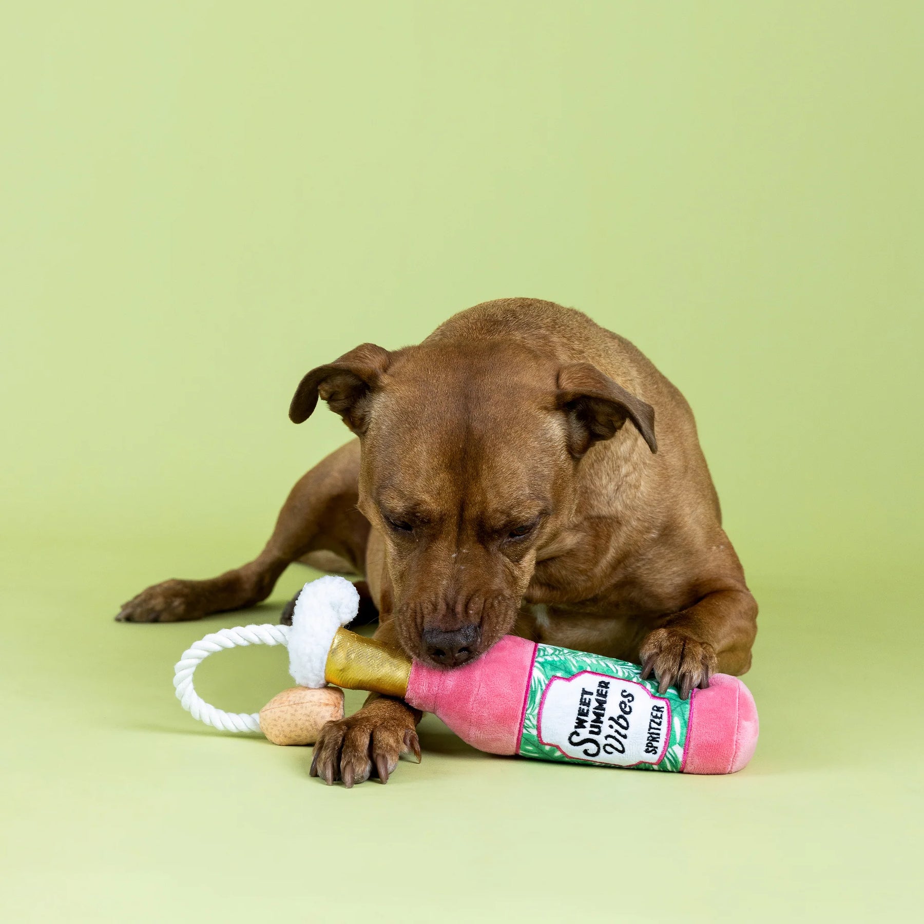 Petshop by Fringe Studio - Dog Toy Sweet Summer Vibes