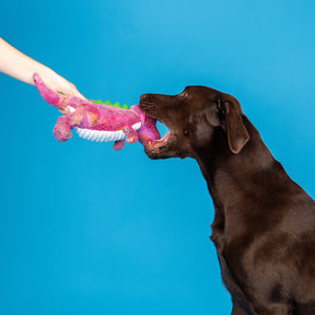 Petshop by Fringe Studio - Dog Toy Embrace Your Colors