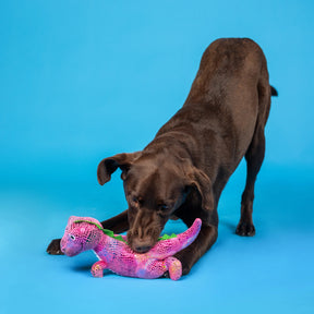 Petshop by Fringe Studio - Dog Toy Embrace Your Colors