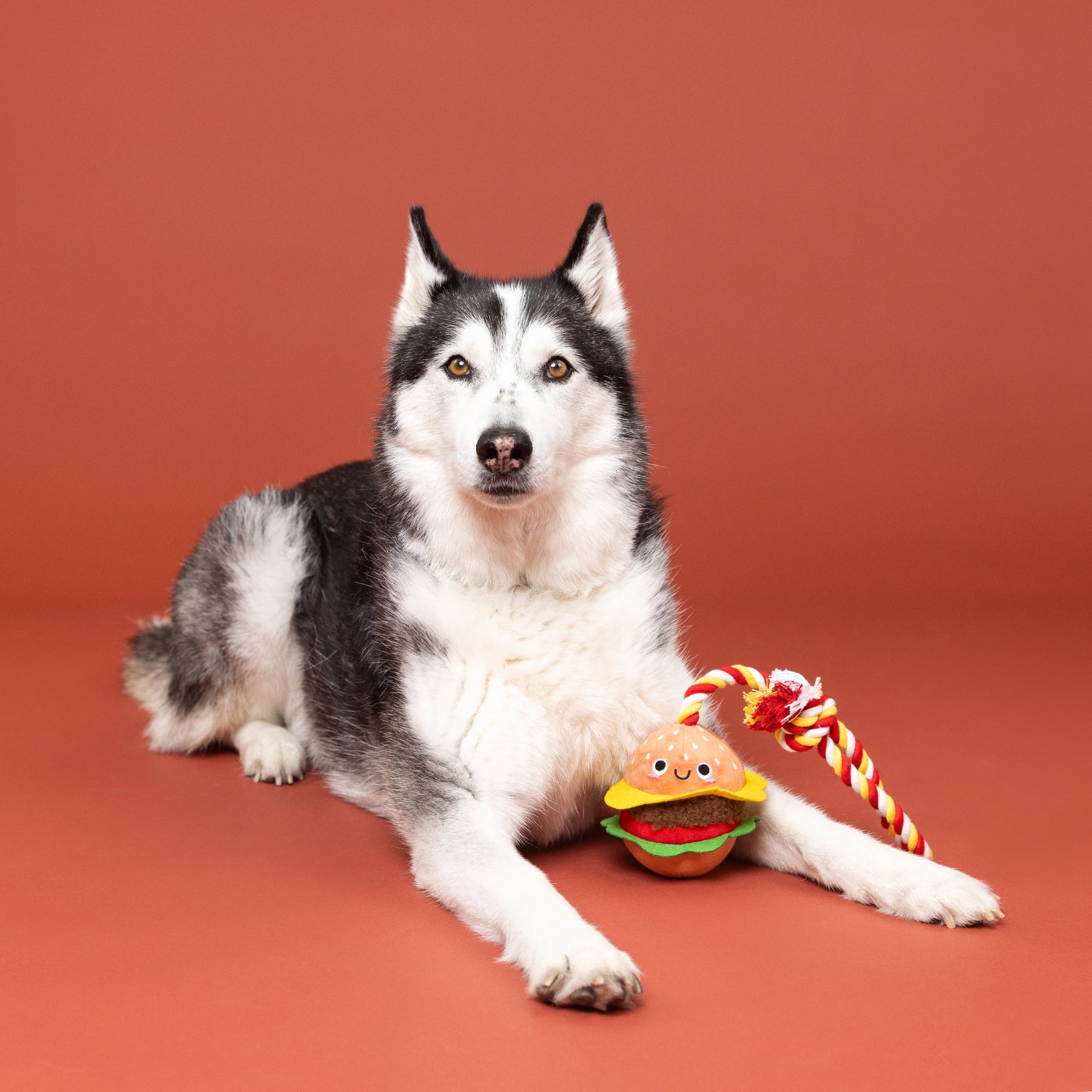 Petshop by Fringe Studio - Dog Toy You're The Bun That I Want