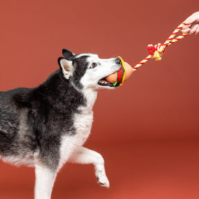 Petshop by Fringe Studio - Dog Toy You're The Bun That I Want