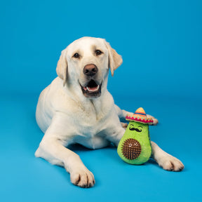 Petshop by Fringe Studio - Dog Toy AVO FIESTA