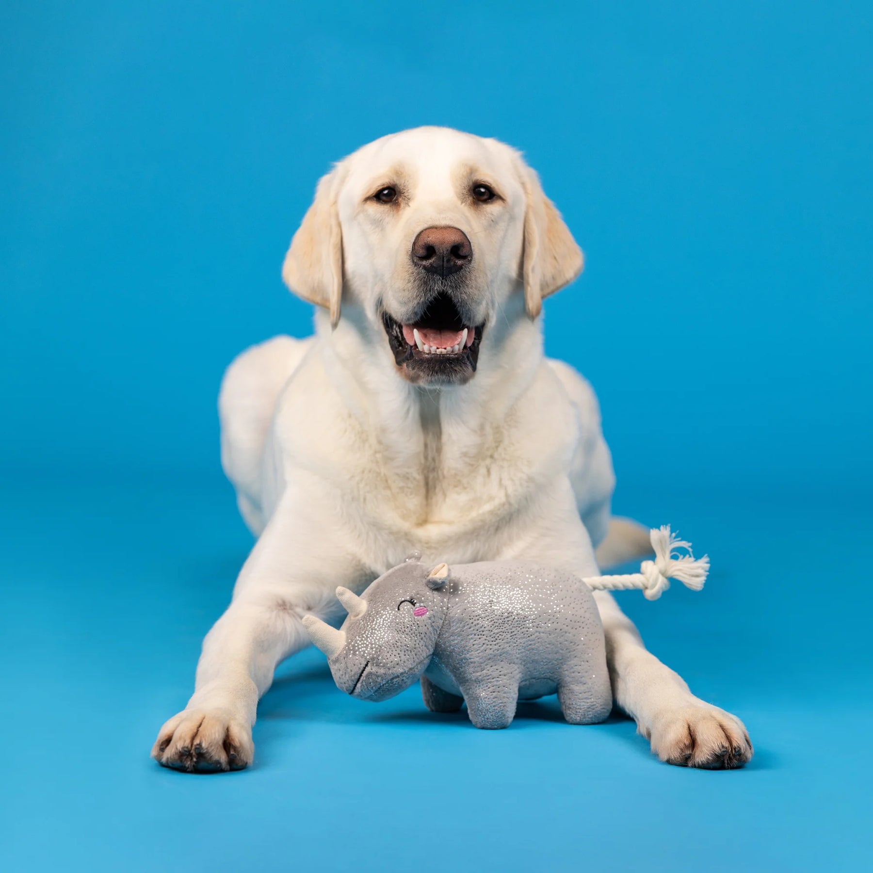 Petshop by Fringe Studio - Dog Toy Rhino You Want Me Plush