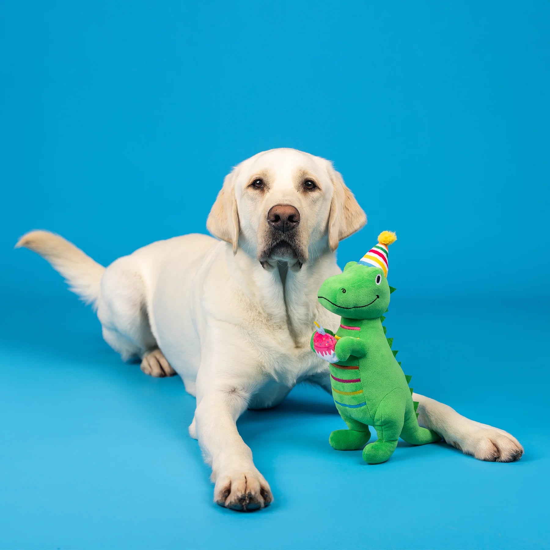 Petshop by Fringe Studio - Dog Toy I'm How Old? Plush