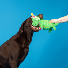 Petshop by Fringe Studio - Dog Toy I'm How Old? Plush