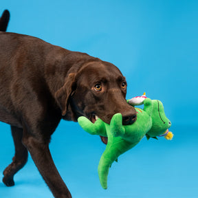 Petshop by Fringe Studio - Dog Toy I'm How Old? Plush