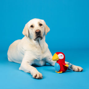 Petshop by Fringe Studio - Dog Toy Perching Perfection