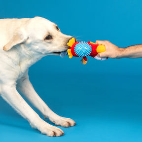 Petshop by Fringe Studio - Dog Toy Perching Perfection