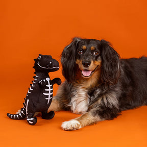 Petshop by Fringe Studio - Dog Toy TRICK RAWR TREAT
