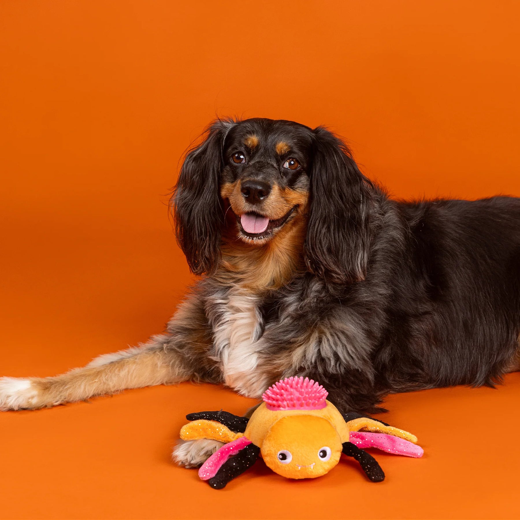 Petshop by Fringe Studio - Dog Toy STOP BUGGING ME PLUSH