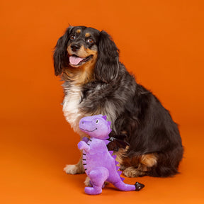 Petshop by Fringe Studio - Dog Toy DONT BE A DRAG-ON