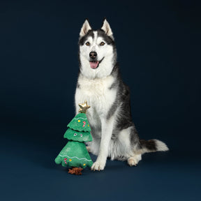 Petshop by Fringe Studio - Dog Toy Fir Real Fun Ahead