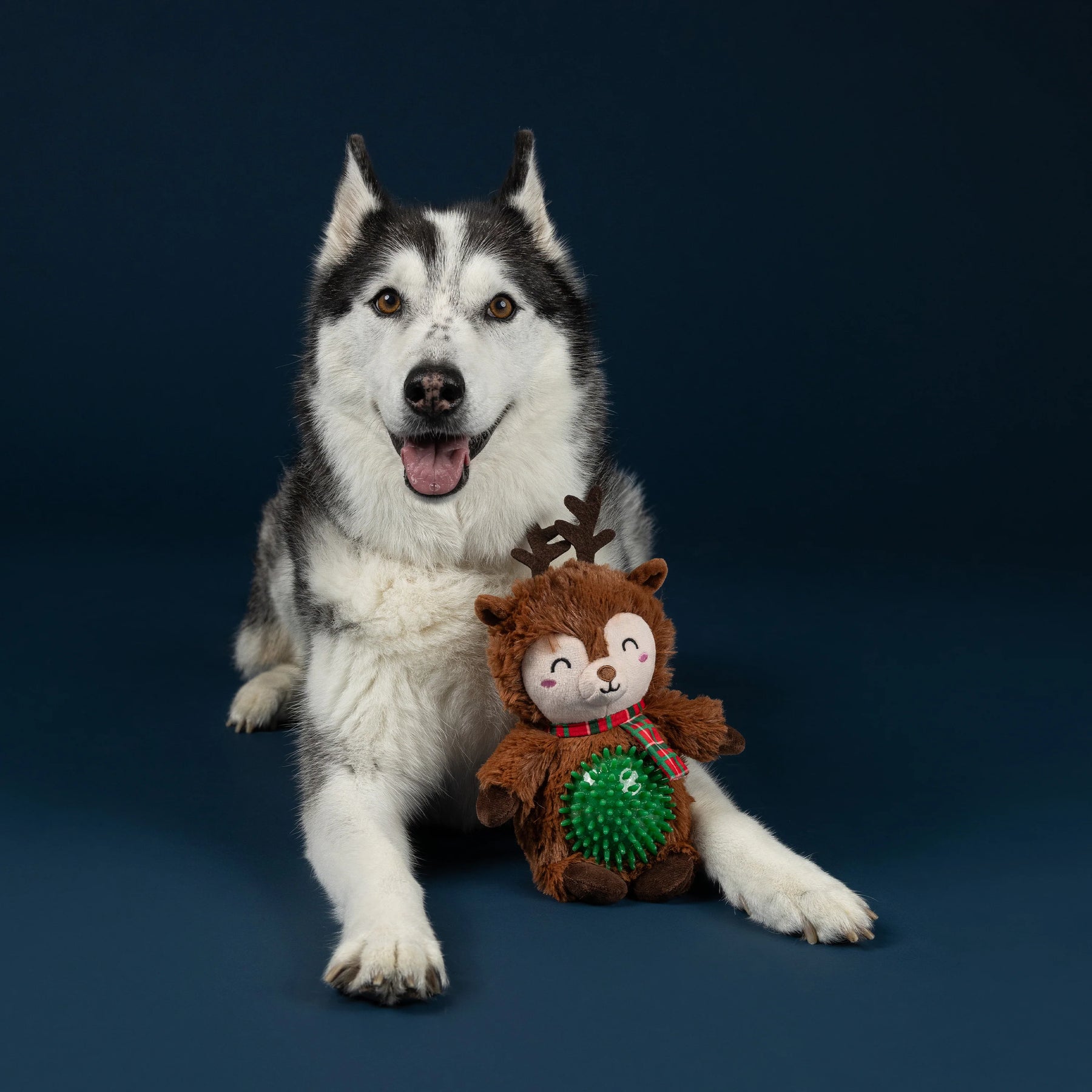 Petshop by Fringe Studio - Dog Toy Rein It In, Pal!