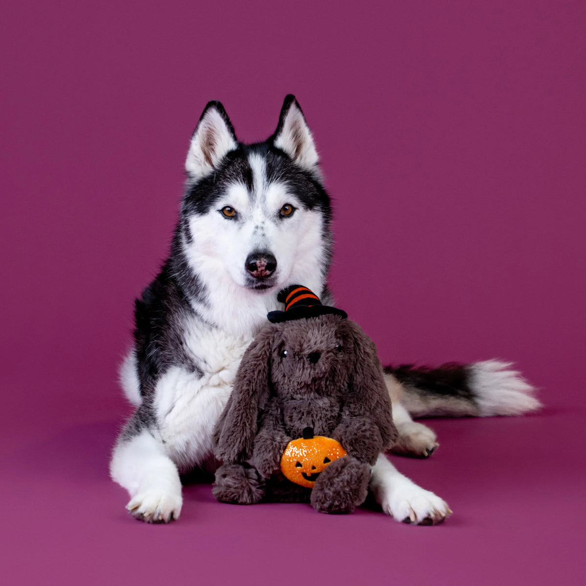Fringe Studio - Dog Toy Hocus Pocus Hare
