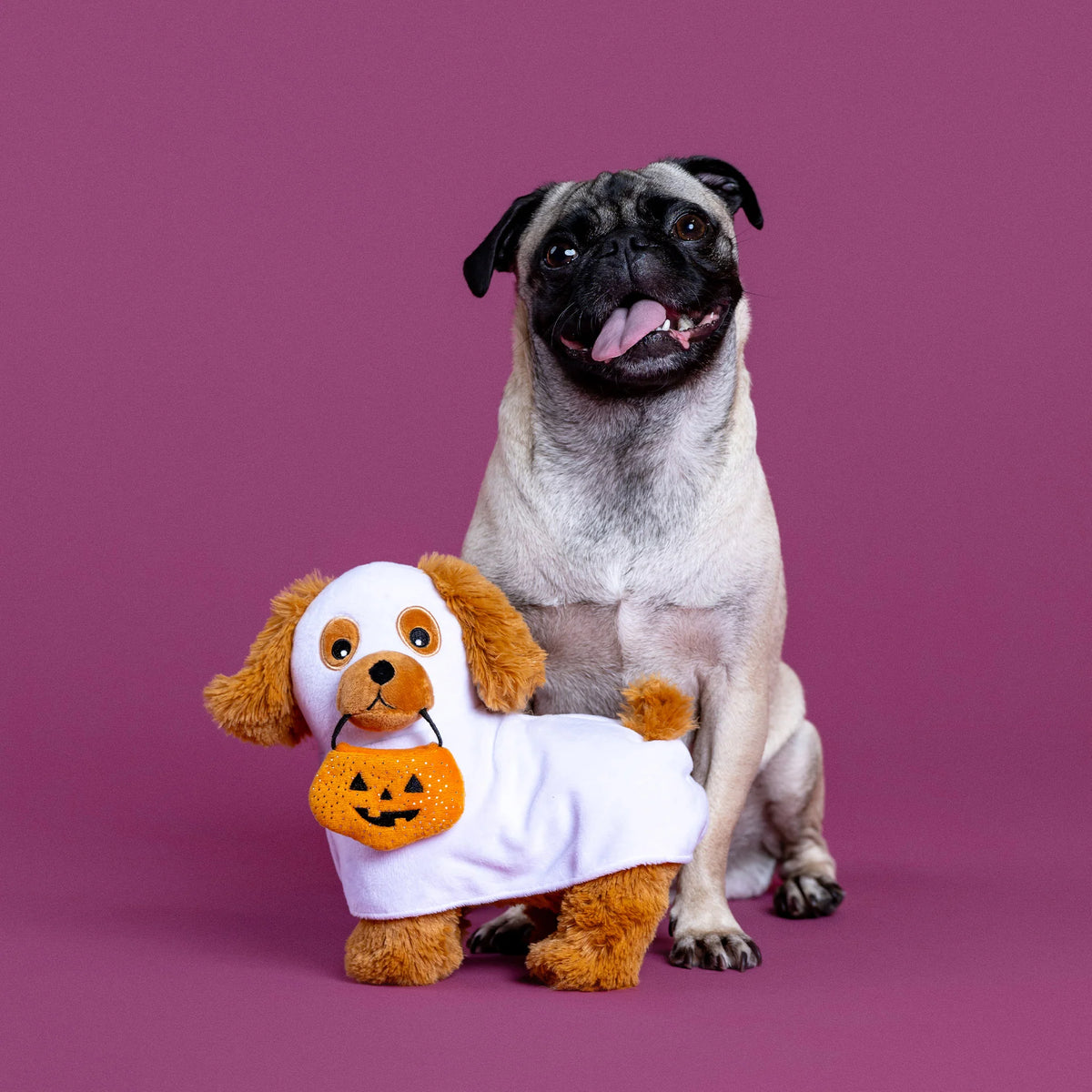 Fringe Studio - Dog Toy Hauntin 'Hound