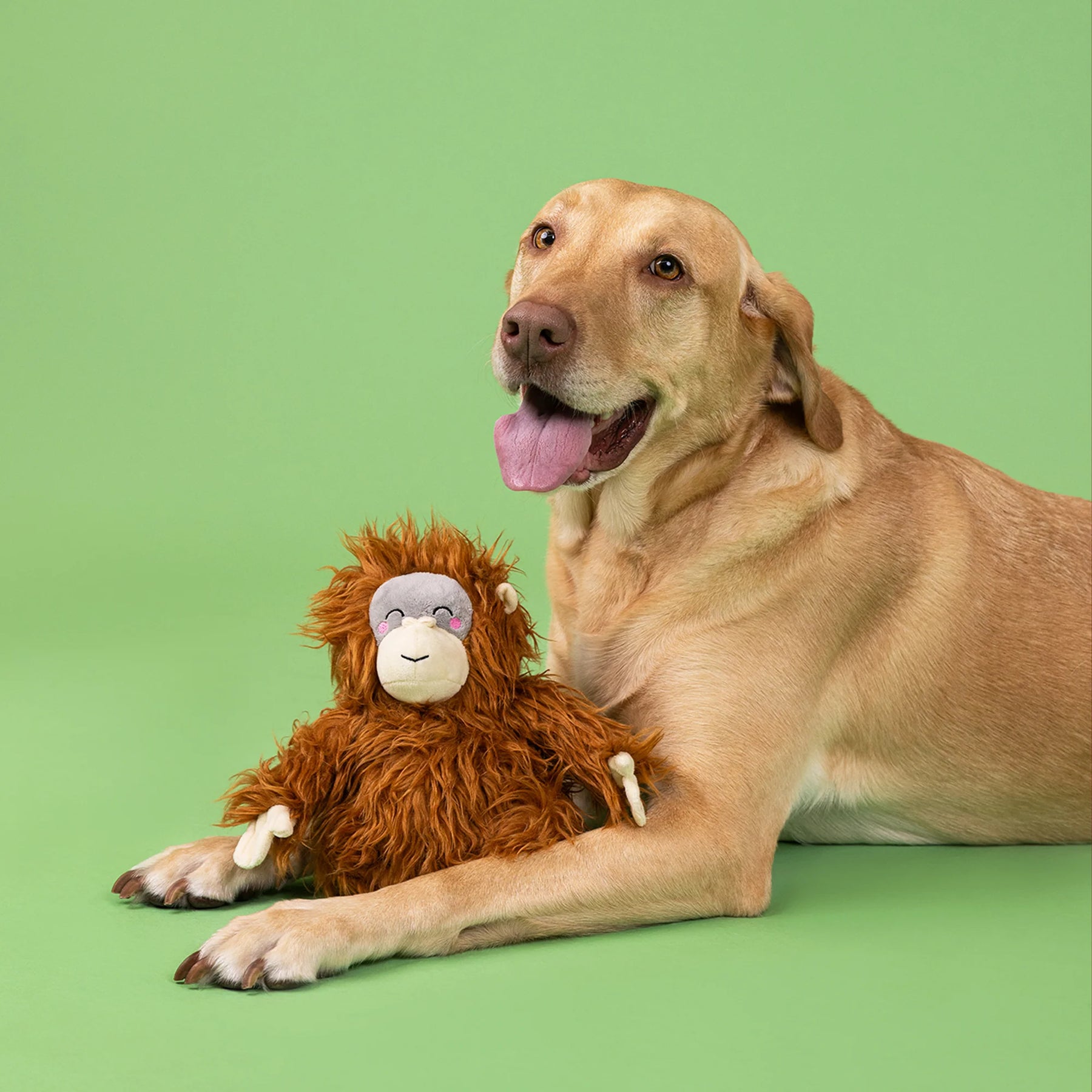 Petshop by Fringe Studio - Dog Toy Oranga Hug Orangutang