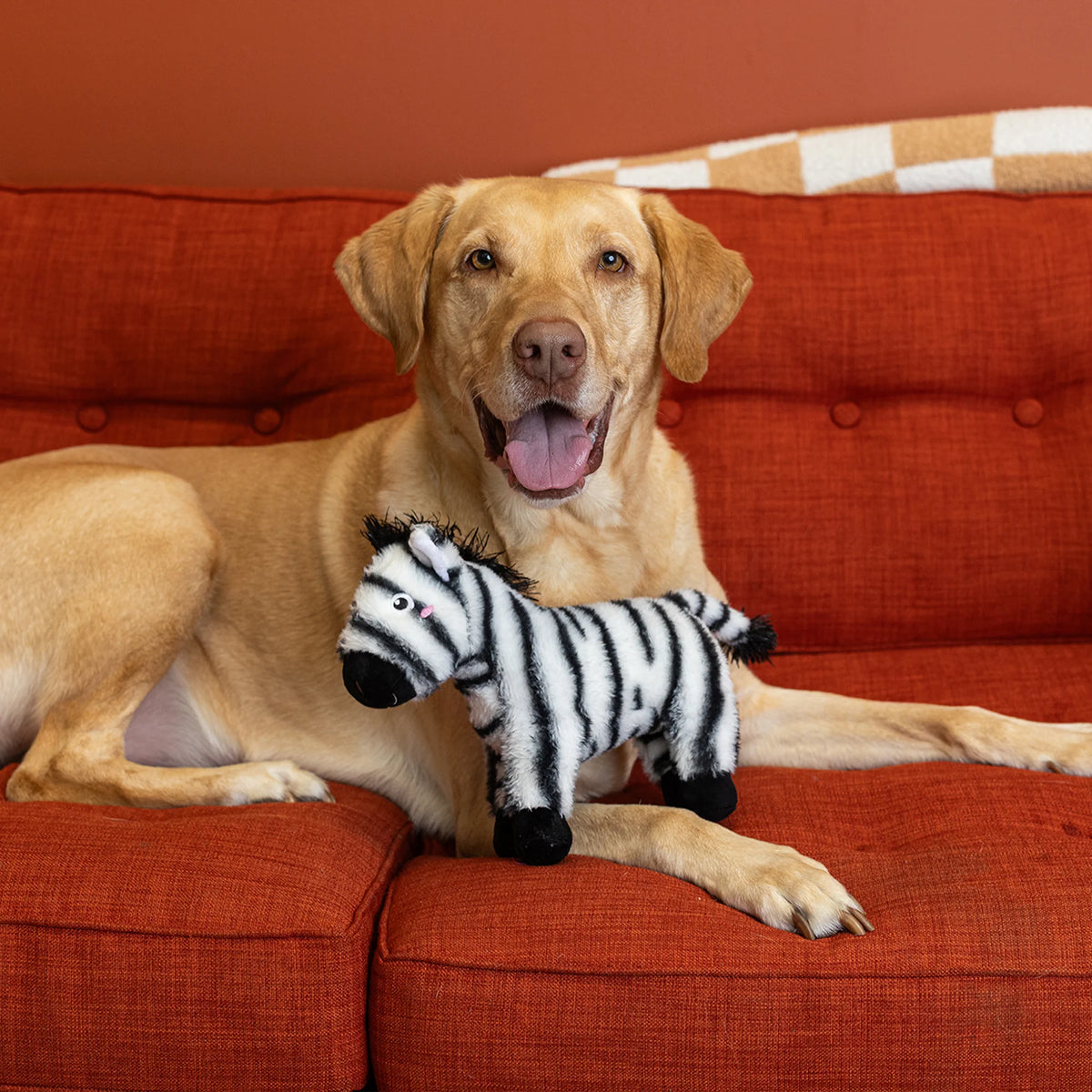 Petshop by Fringe Studio - Dog Toy I'm Stripe-Tacular
