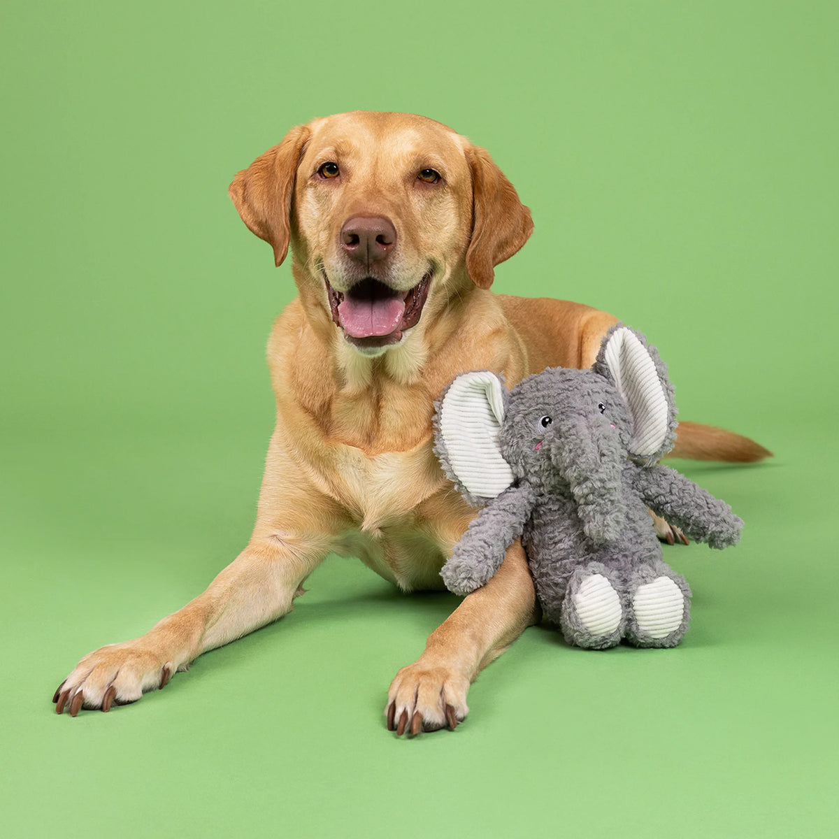 Petshop by Fringe Studio - Dog Toy Love You A Ton Elephant