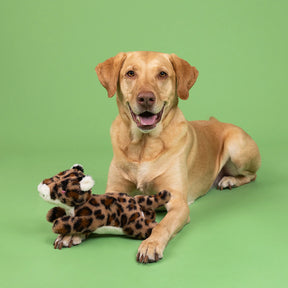 Petshop by Fringe Studio - Dog Toy You're Spot On