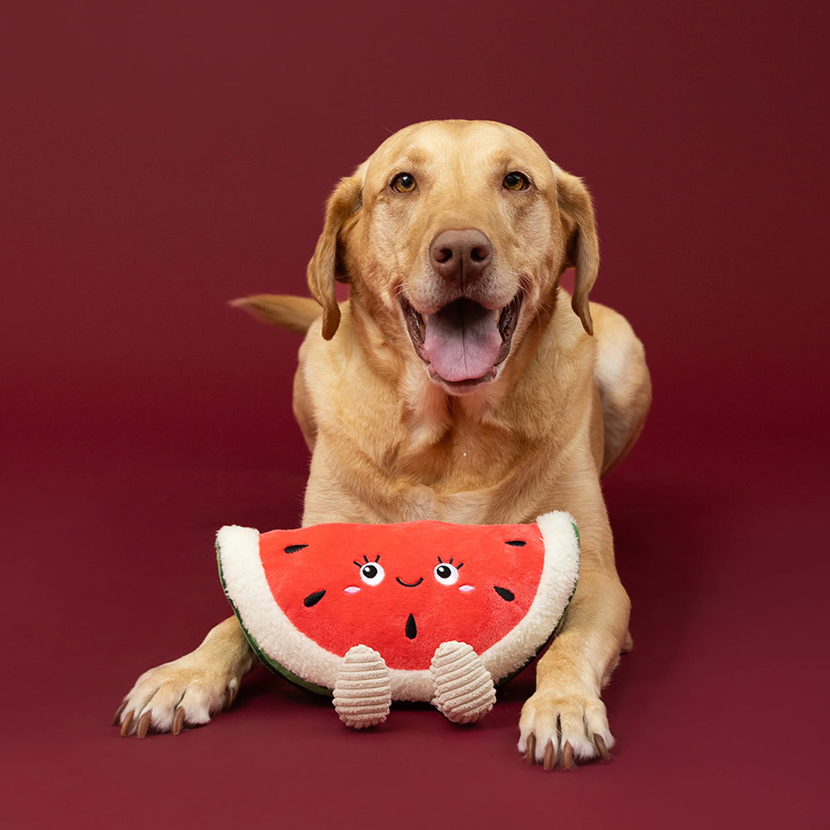 Petshop by Fringe Studio - Dog Toy Seed The Day
