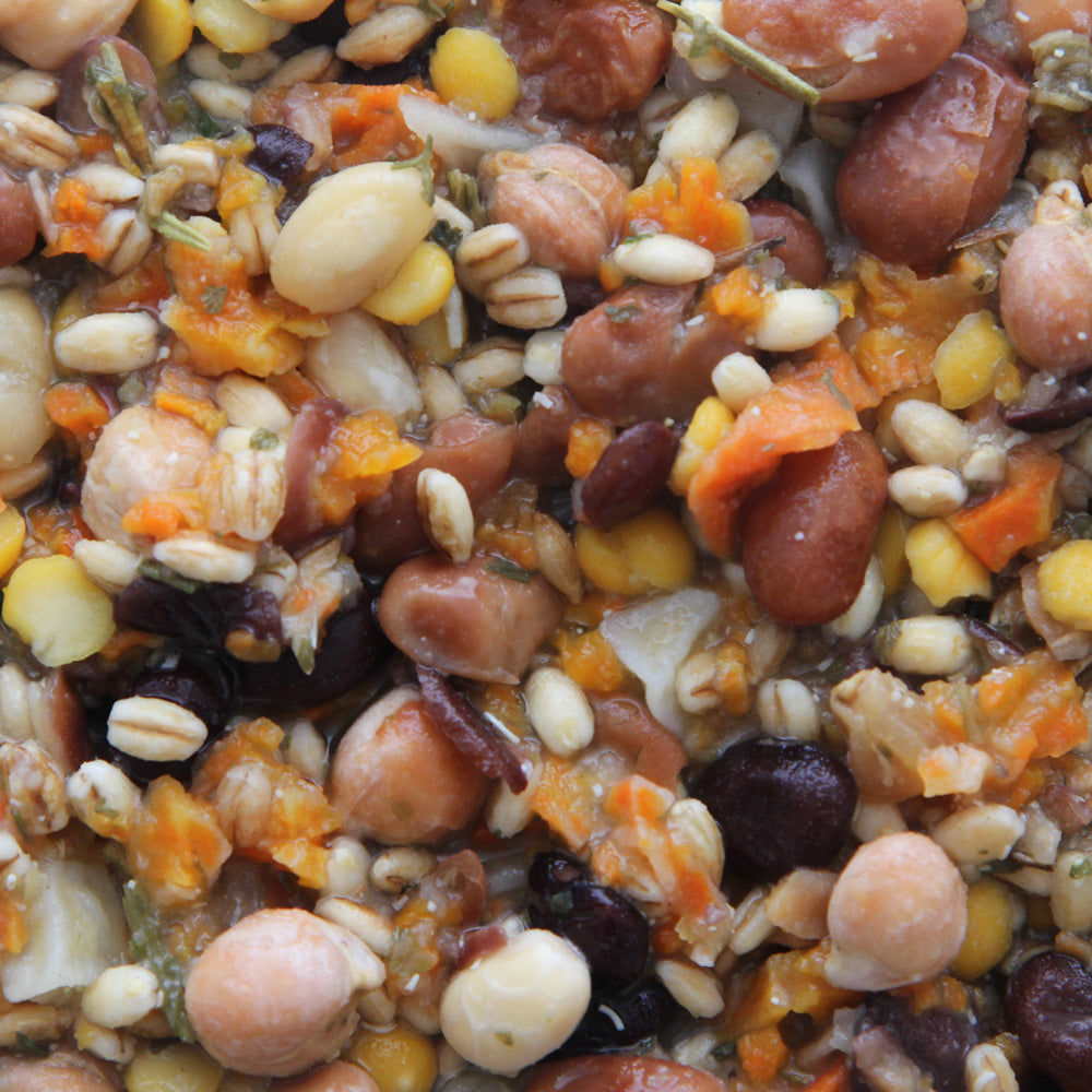Worldly Cuisine - Inca Bean Salad Bird Food