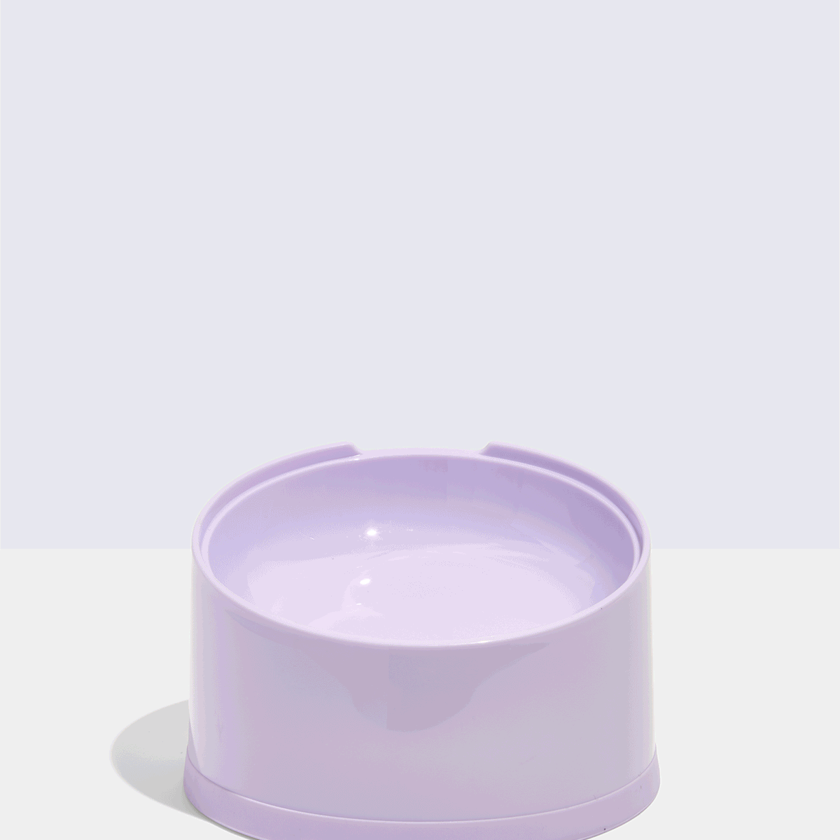 Wild One - Cat Bowl Slanted