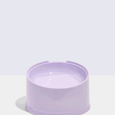 Wild One - Cat Bowl Slanted