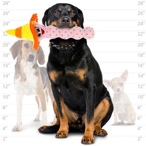 Tuffy Dog Toys - Mighty Tequila Worm