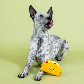 Petshop by Fringe Studio - Dog Toy Whatchu Taco Bout