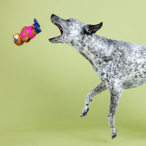 Petshop by Fringe Studio - Dog Toy Eat Sleep Snorkel
