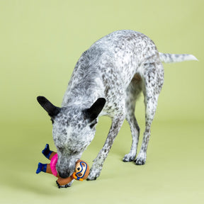 Petshop by Fringe Studio - Dog Toy Eat Sleep Snorkel
