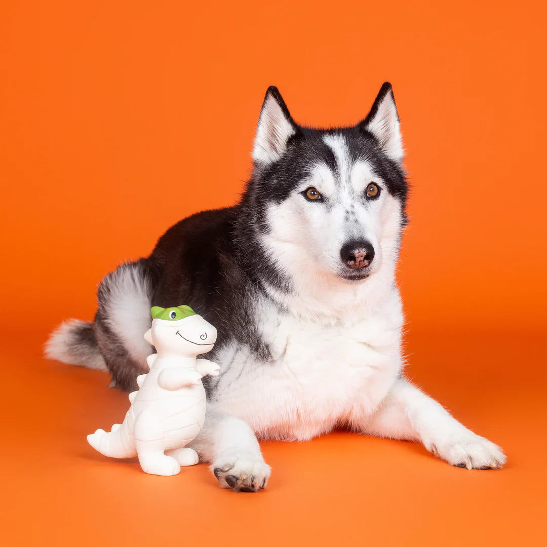 Petshop by Fringe Studio - Dog Toy Here to Gauze Trouble