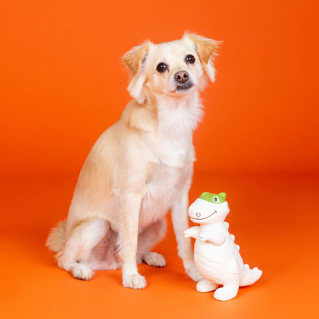 Petshop by Fringe Studio - Dog Toy Here to Gauze Trouble