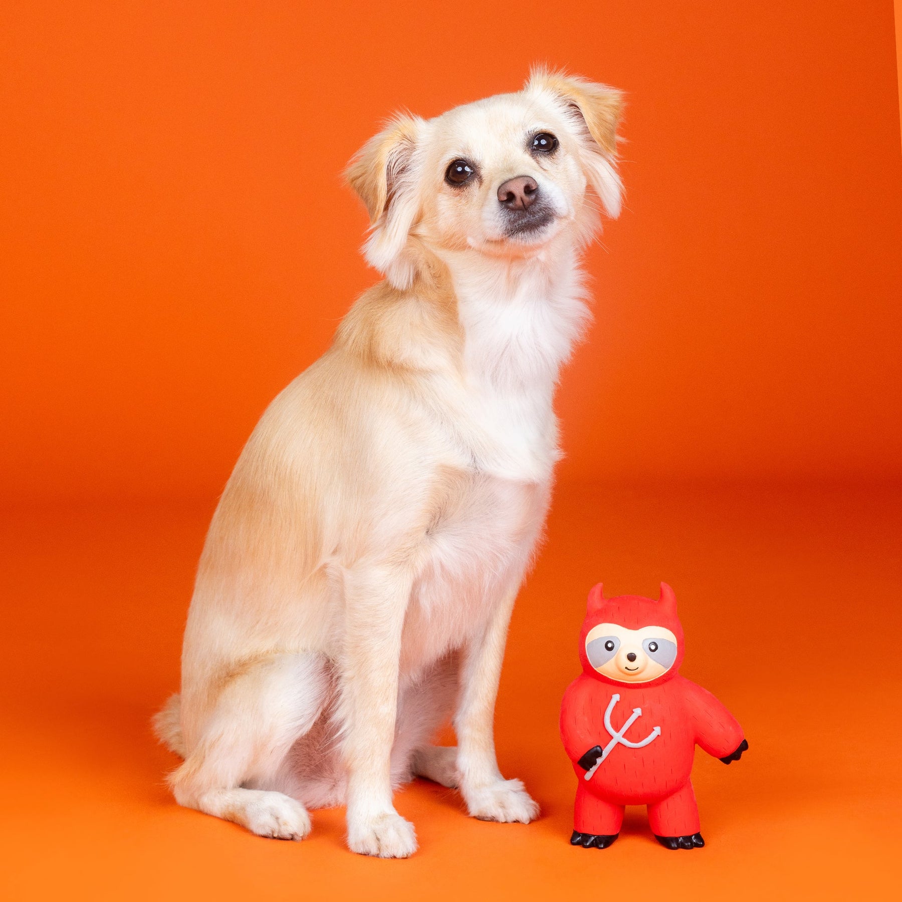 Petshop by Fringe Studio - Dog Toy A LITTLE HOTHEADED