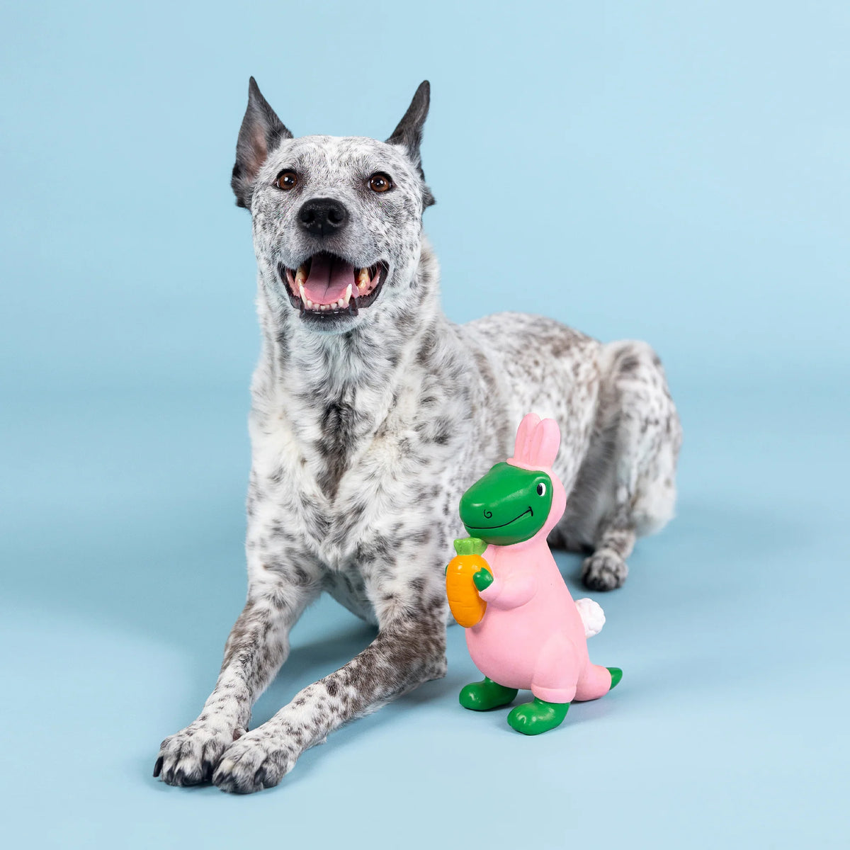 Petshop by Fringe Studio - Dog Toy Have A Hoppy Easter Latex