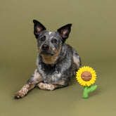 Petshop by Fringe Studio - Dog Toy Way To Grow