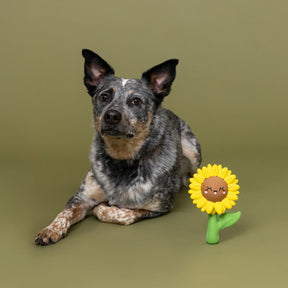 Petshop by Fringe Studio - Dog Toy Way To Grow