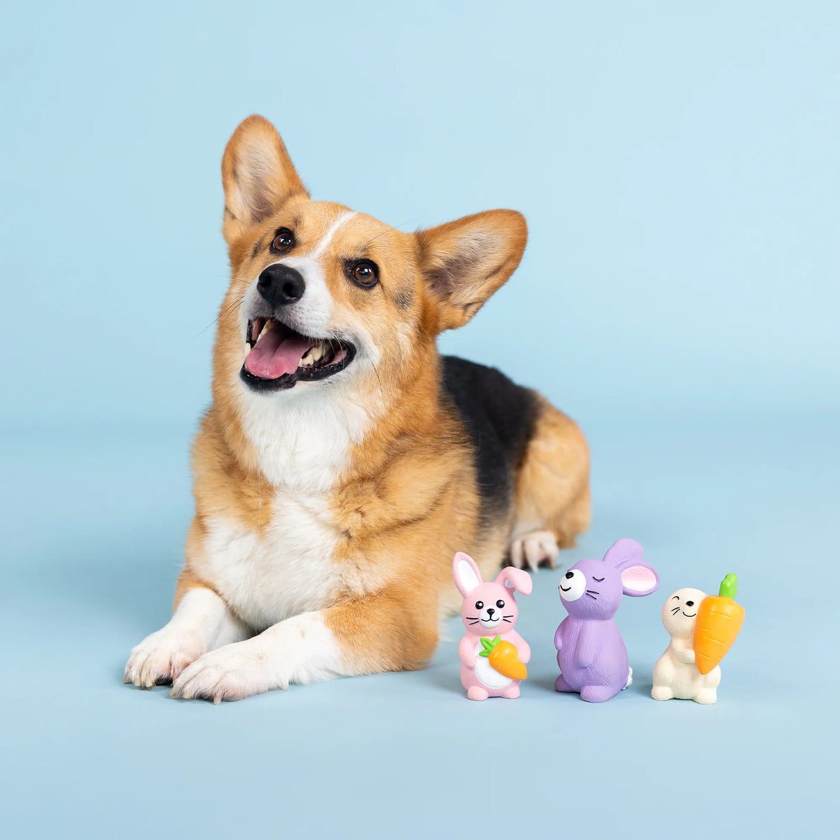 Petshop by Fringe Studio - Dog Toy Hopping Love Carrots (3 Piece Set)