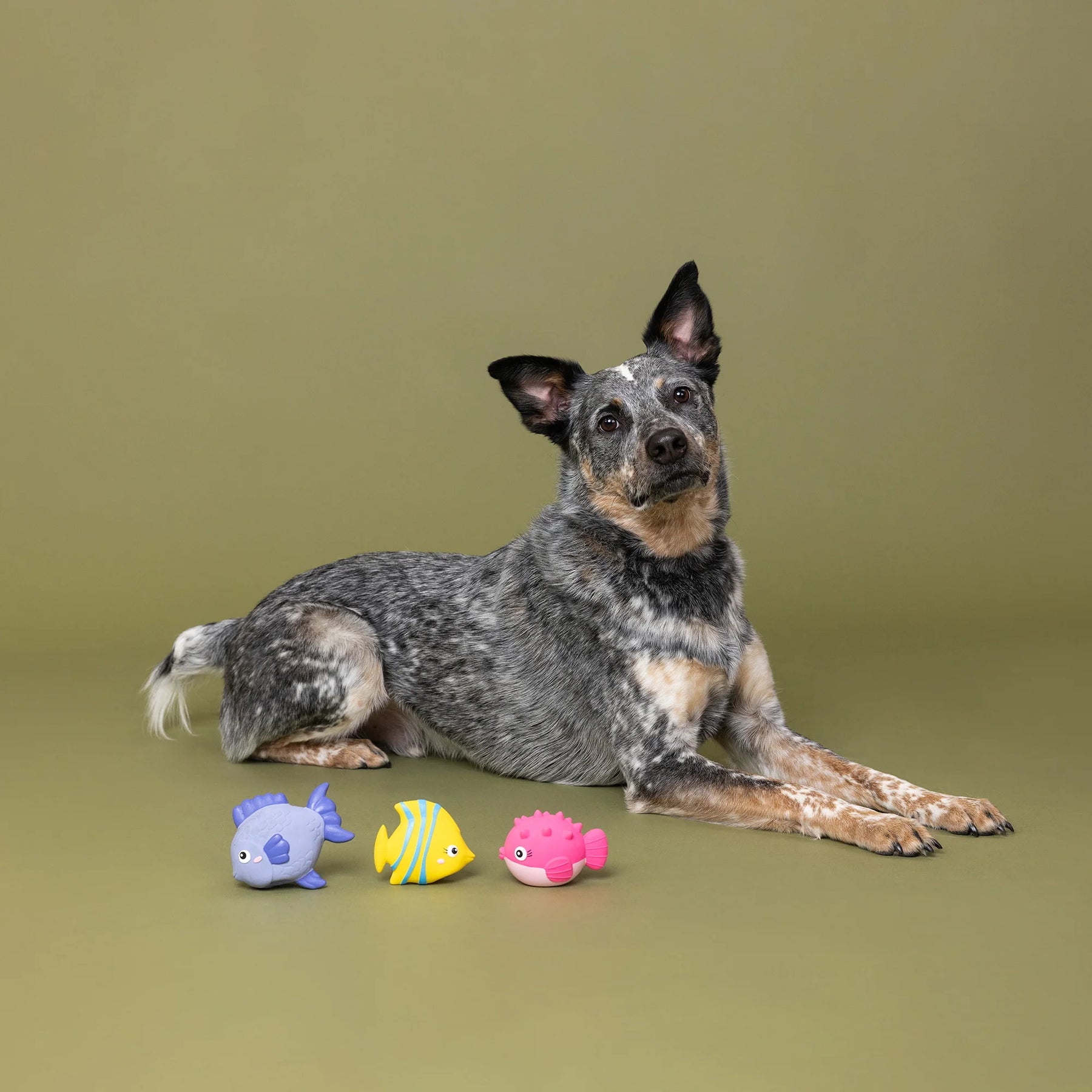 Petshop By Fringe Studio - Dog Toy Set 3 Pc STAY SALTY