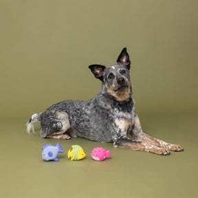 Petshop By Fringe Studio - Dog Toy Set 3 Pc STAY SALTY