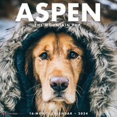 2024 Aspen the Mountain Pup