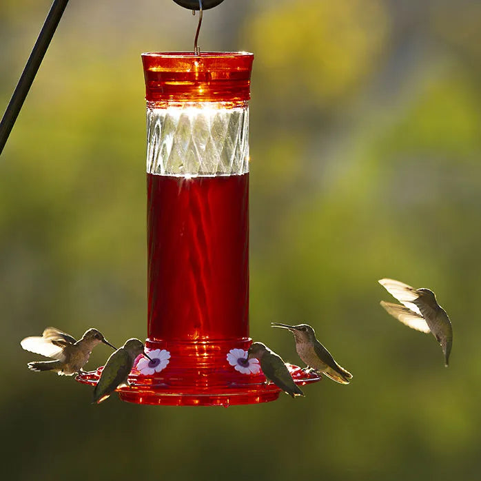 More Birds - Diamond Hummingbird Feeder